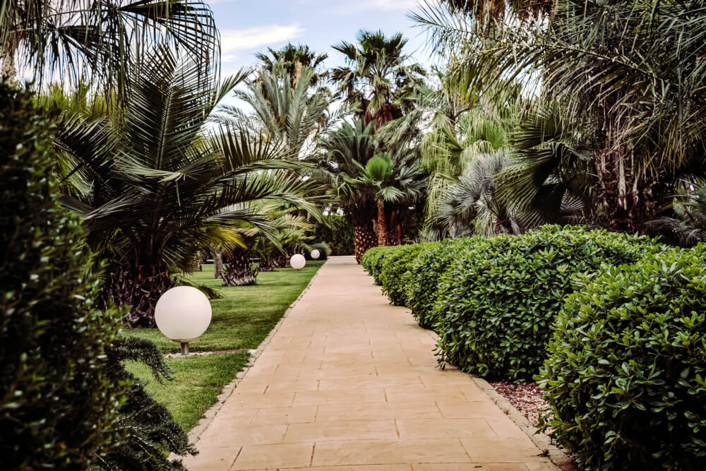 Gepflegter Garten auf Mallorca